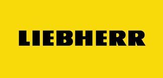 Liebherr 10028093 lager till entreprenadmaskiner